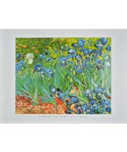Vincent van Gogh, Schwertlilien - Iris Garden