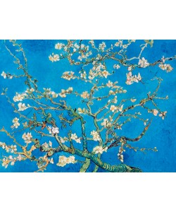 Vincent van Gogh, Almond Blossom San Remy 1891