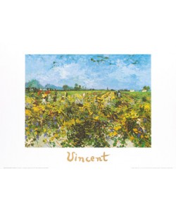 Vincent van Gogh, The green vineyard