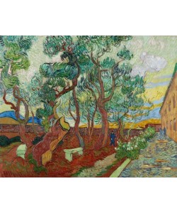 Vincent Van Gogh, Der Garten des Hospitals von Saint Rémy