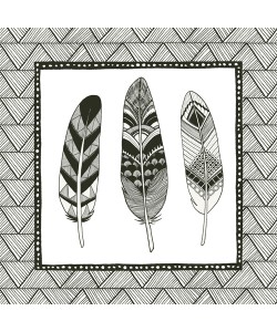 Sara Zieve Miller, Geo Feathers Square IV