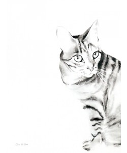 Aimee del Valle, Sadie