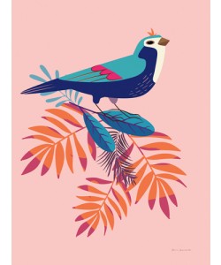 Omar Escalante, Exotic Birds III