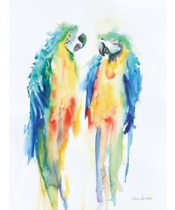 Aimee del Valle, Colorful Parrots I