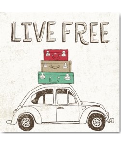 Oliver Towne, Road Trip Beetle Luggage