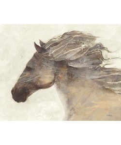 Albena Hristova, Into the Wind Ivory