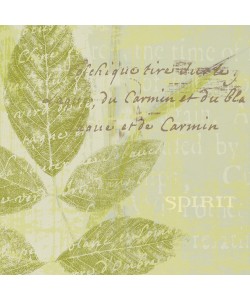 Wild Apple Portfolio, Spirit