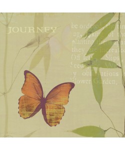 Wild Apple Portfolio, Journey