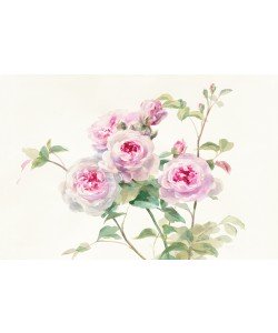 Danhui Nai, Sweet Roses on White Green