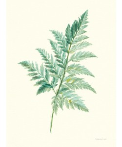 Danhui Nai, Leaf Study I