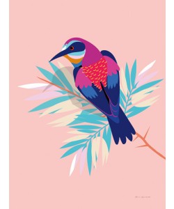 Omar Escalante, Exotic Birds II