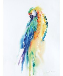 Aimee del Valle, Colorful Parrots II