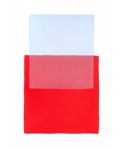 Werner Maier, Color Code 1
