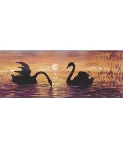 Werner, SWANS IN THE SUNSET