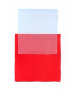 Werner Maier, Color Code 1