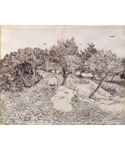 Vincent van Gogh, The Olive Trees (pen & ink on paper)