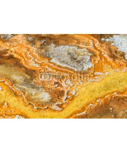 Zechal, Microbial mats in geothermal pools, Yellowstone National Park ,W