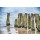 Irk Boockhoff, Verwittertes Holz am Strand 11