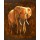 Jean-Marc Chamard, Elephant 01