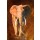 Jean-Marc Chamard, Elephant 02
