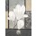 Claudia Ancilotti, White Magnolia
