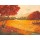 Claudia Ancilotti, Indian Summer