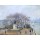 Camille Pissarro, Denkmal Heinrichs IV. und Pont des Arts in Paris. 1901.