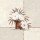 Claudia Ancilotti, Full Bloom