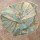 Rian Withaar, Blue Flower I