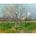 Vincent van Gogh, Blühender Obstgarten. 1888