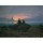 Caspar David Friedrich, Mondaufgang am Meer (Pendant zu Bildnummer 479). 1822