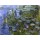 Claude Monet, Seerosen (Nympheas). 1918/1921.