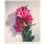 Treichel Gerhard Wilder Hibiskus (Digitaldruck, handsigniert)
