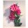 Treichel Gerhard Wilder Hibiskus (Digitaldruck, handsigniert)