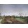 Otto Modersohn, Morgenlandschaft mit Kutsche vor Münster. 1887