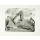 Stangl Reinhard G., 1998 (Lithografie, handsigniert)