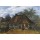 Vincent van Gogh, La Chaumière (Bauernhaus mit Frau und Ziege). 1885.