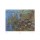 Claude Monet, Seerosen (Offset)