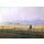 Caspar David Friedrich, Landschaft mit betrachtendem Wanderer. Um 1837