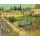 Vincent van Gogh, Blühender Garten mit Pfad. Arles 1888