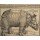 Albrecht Dürer, Nashorn. 1515. Für König Emanuel.