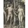 Albrecht Dürer, Adam und Eva. 1504