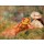 Pierre-Auguste Renoir, Junge Mädchen am Wasser (Jeunes Filles au Bord de l'Eau. Um 1893