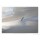 Philip Plisson, Basse mer sur la baie du Mont Saint Michel - Normandie