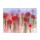 Beverly Dyer, WILDFLOWER IN RED