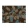 Diane Stimson, LEAFY BEAUTIFUL I
