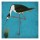Sheldon Lewis, NATURAL BALANCE I