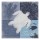 Lauren Gibbons, AQUATIC III