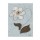 Diane Stimson, BROWN FLOWERS II