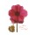 Albert Koetsier, HOM´S LOVE I